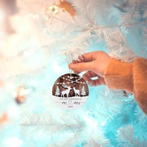 Just Married Mr and Mrs Christmas Ornament