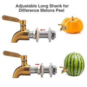 Stainless Steel Watermelon Keg Tap Kit