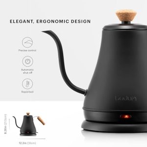 Bodum 27oz Bistro Gooseneck Electric Kettle