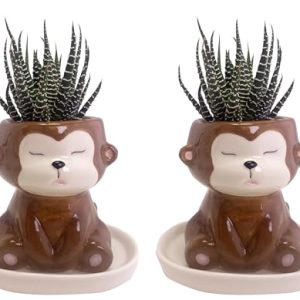 SWONVI Cute Monkey Ceramic Planters – 2 pcs