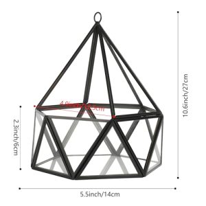 ElegantLife Glass Geometric Terrarium
