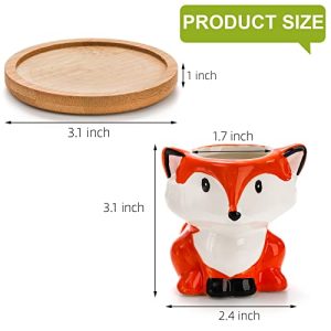 Pumtus 6 Pack Cute Animal Succulent Pots