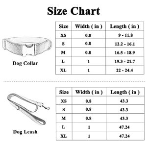 PETDURO Custom Dog Collar: Personalized Elegance