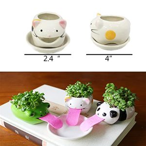 VERLIAN Animal Ceramic Succulent Pot