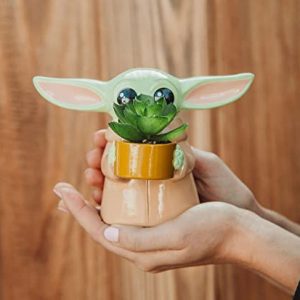 Baby Yoda Mini Planter: Whimsical Star Wars Decor