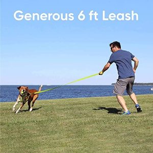 Pawtitas Personalized Dog Leash: Custom Embroidered Gift