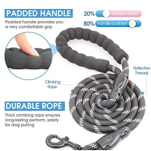 BAAPET Reflective Dog Leash: Comfortable and Versatile