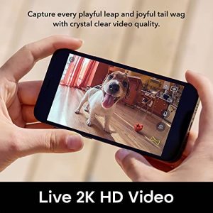 Geeni PetConnect Treat + Cam: Smart Pet Feeder and Camera Combo