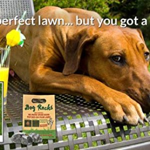 Dog Rocks Grass Neutralizer