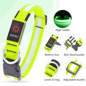 Vizpet LED Dog Collar: Super Bright Safety Light