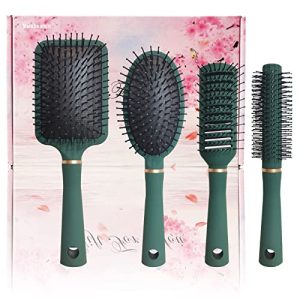 4-Piece Hair Brush Gifts Set for Women