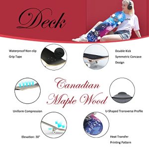 CAPARK 31 Inch Pro Complete Skateboard – Ocean Design