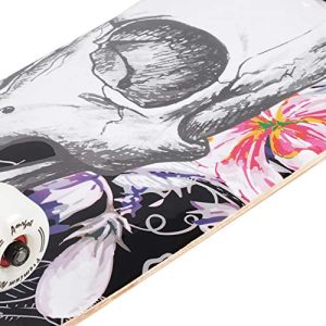 Complete Skateboards for Beginners – 31 * 8 Inches