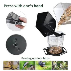Jealoeur Hanging Bird Feeder: Outdoor Bird Feeding Gift