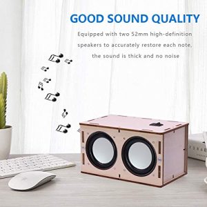DIY Bluetooth Speaker Box Kit – Build Your Own Sound Amplifier