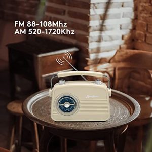 ByronStatics Portable Radio AM FM