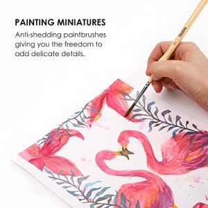 Grabie 11-Piece Miniature Detail Paint Brush Set
