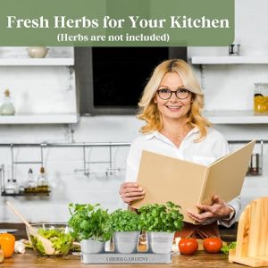 PERFNIQUE Indoor Herb Garden Planter – Farmhouse Style