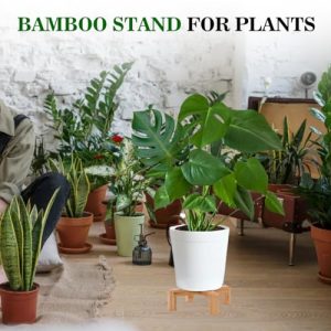 ARTORA Small Wood Plant Stand