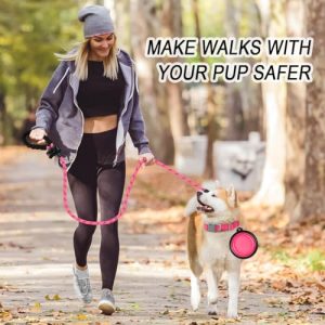 BARKBAY Heavy Duty Dog Leash: Comfortable and Reflective