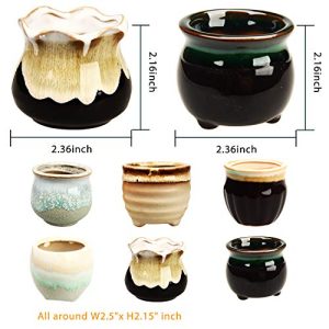 Brajttt 2.5 Inch Succulent Pot with Drainage