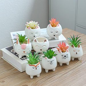 ARTKETTY 8 Pcs Cartoon Animal Succulent Pots