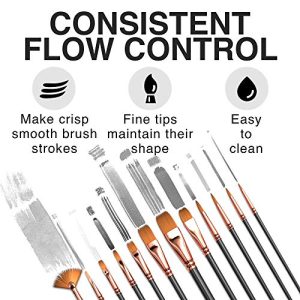 Professional Artist Paint Brush Set of 12