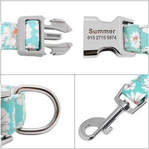 Beirui Personalized Floral Dog Collar & Leash Set