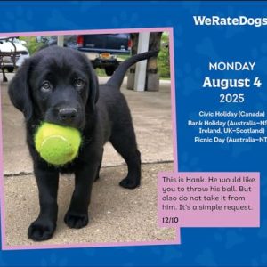 WeRateDogs 2025 Calendar