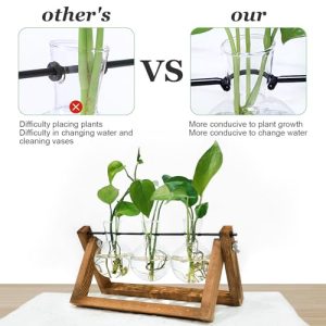 Renmxj Plant Propagation Station