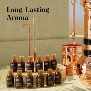 12 Pcs Premium Essential Oils Set – Home Essentials