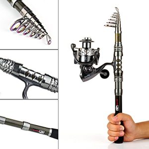 Sougayilang Fishing Rod Combos: Telescopic Pole & Spinning Reels