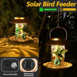 PENXUA Solar Bird Feeder for Outdoors