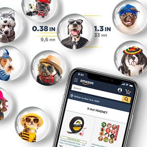 Succulent Glass Fridge Magnets Set