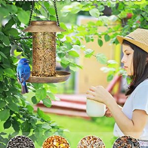 Solar Bird Feeder with Garden Lantern – Gift for Bird Lovers
