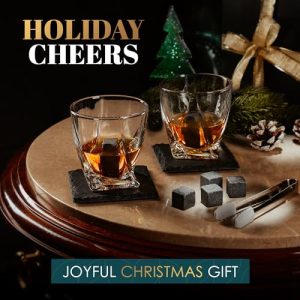 Whiskey Glasses Set of 2 with Whiskey Stones & Coasters