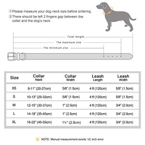 Didog Braided Leather Dog Collar Set: Personalized Elegance