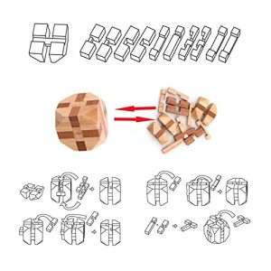 VolksRose 12pcs Wooden Brain Teaser Puzzles