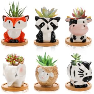 Pumtus 6 Pack Cute Animal Succulent Pots