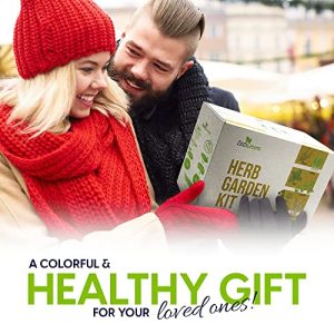 Deluxe Herb Garden Kit – 8 Variety Herbs for Indoor & Outdoor