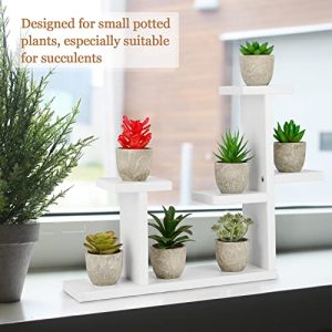 Exttlliy DIY Mini Tabletop Plant Stand