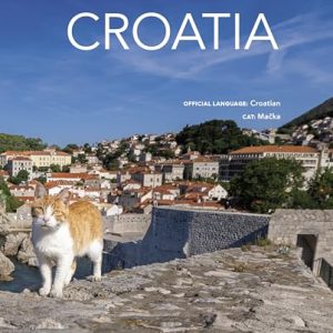 Cats of the World: A Feline Exploration