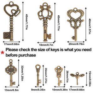 Flying Keys Charms & Dragonfly Wings DIY Set
