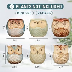 24 Pack Owl Succulent Plant Pots