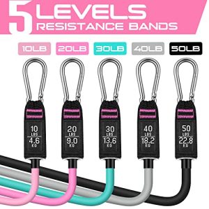 RENRANRING 150LBS Resistance Bands Set