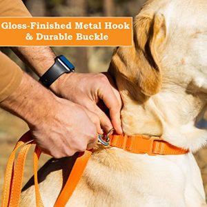 PAWBLEFY Reflective Nylon Dog Collar: Personalized Safety