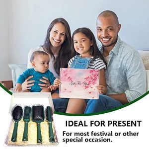 4-Piece Hair Brush Gifts Set for Women