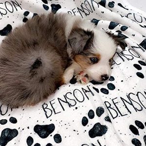 Personalized Paw Print Dog Blanket