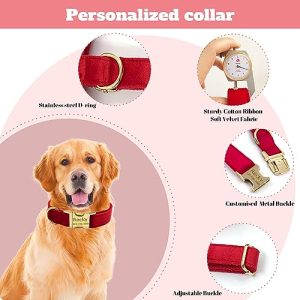 Custom Velvet Dog Collar: Stylish Personalization