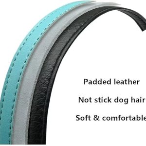 Didog Soft Leather Padded Dog Collar & Leash Set: Personalized Elegance